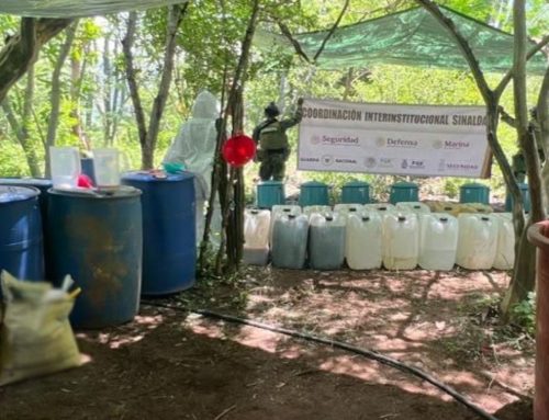 Inhabilitan centro de insumos para metanfetamina en Culiacán